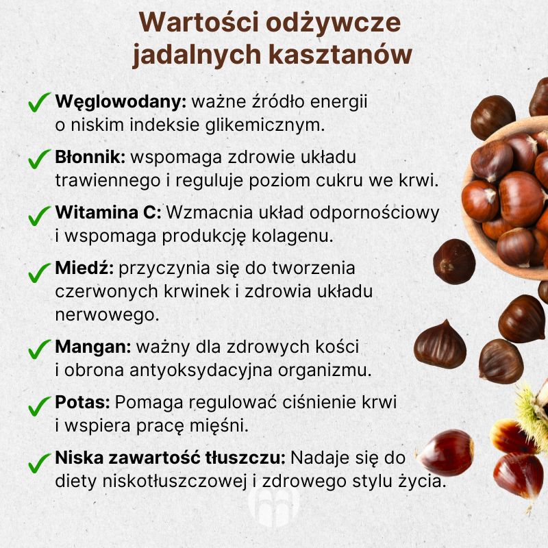 (Polština) Nutriční benefity jedlých kaštanů
